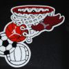 Multi Sport Soccer, Volleyball, Basketball, and Track Back Patch